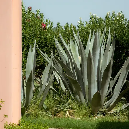 Zefyros Village Hotel 3*