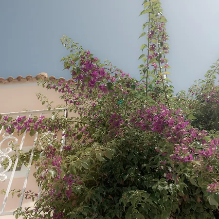 Zefyros Village Hotel 3*